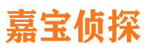 江海市私家侦探